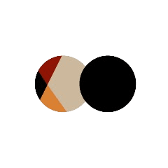 Loox logo